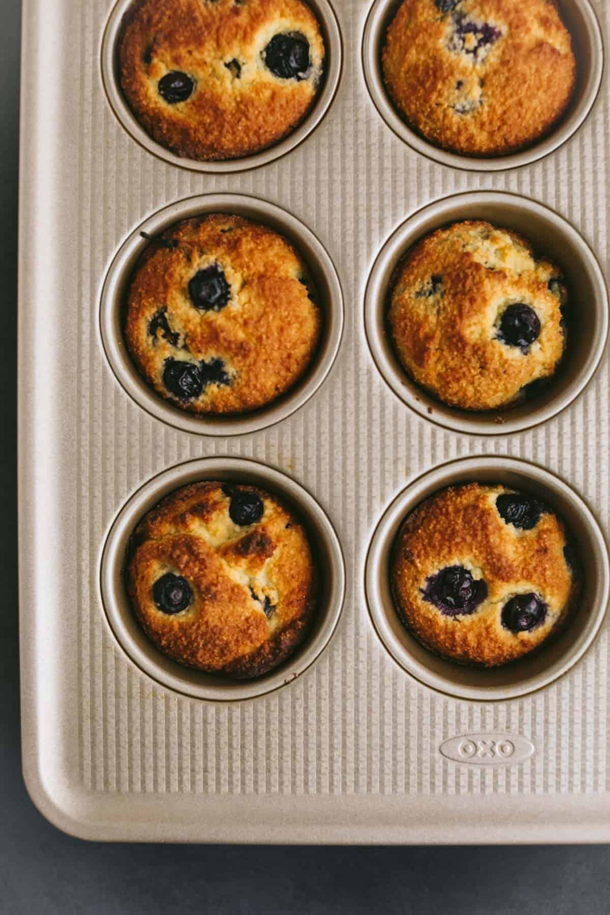 Freshly baked muffins