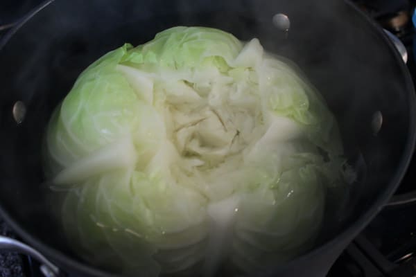 boiled  cabbage 