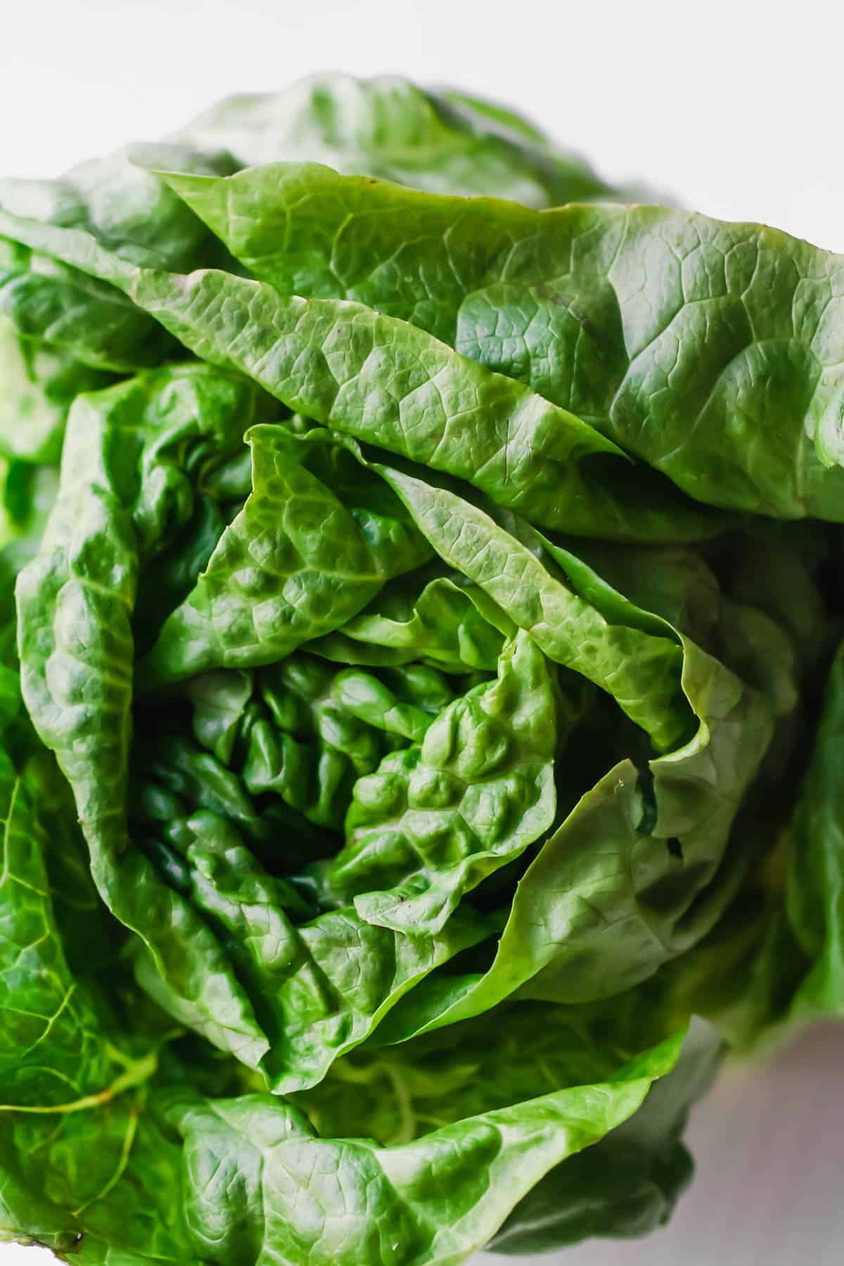 butter lettuce for wraps 