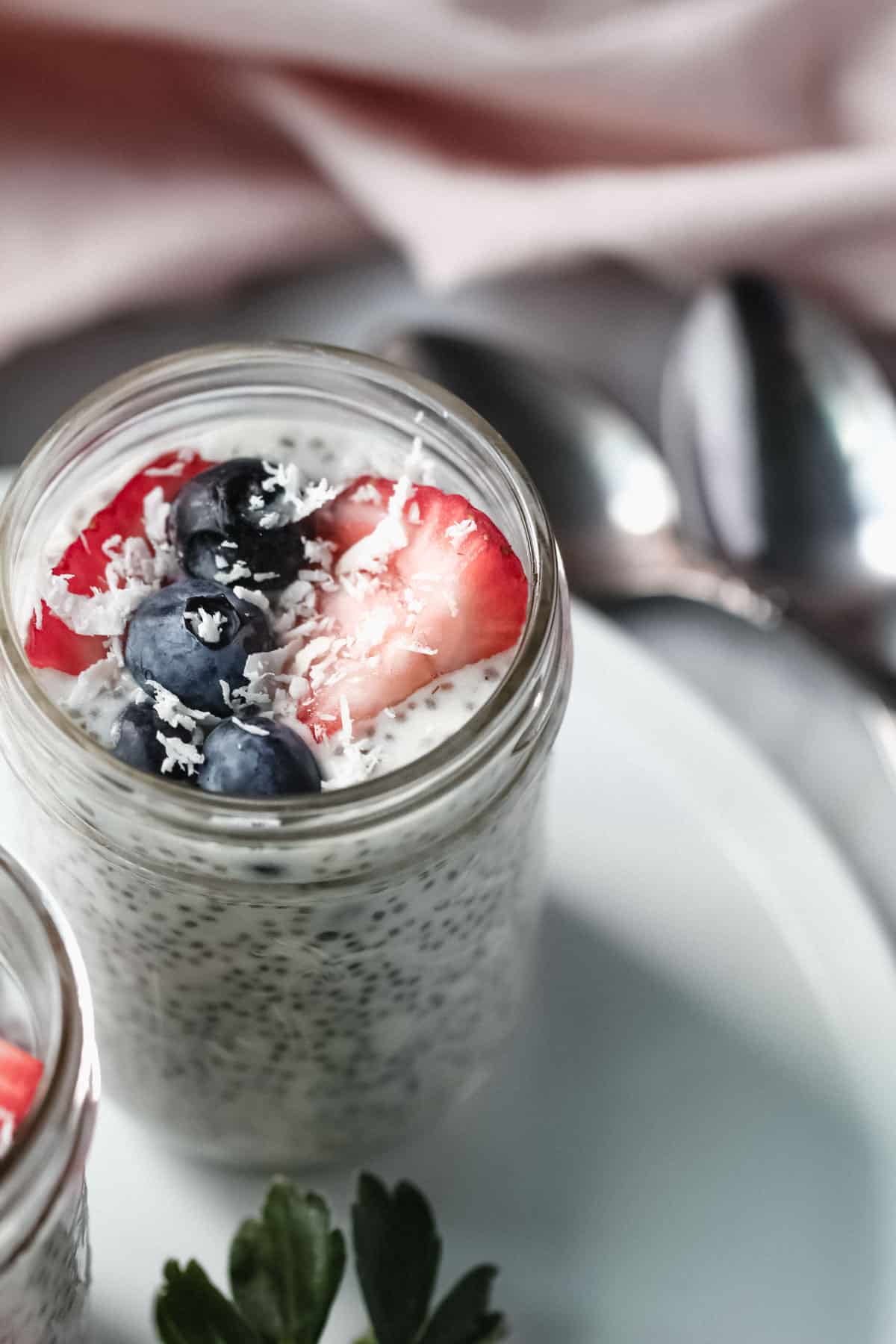 chia seed pudding 