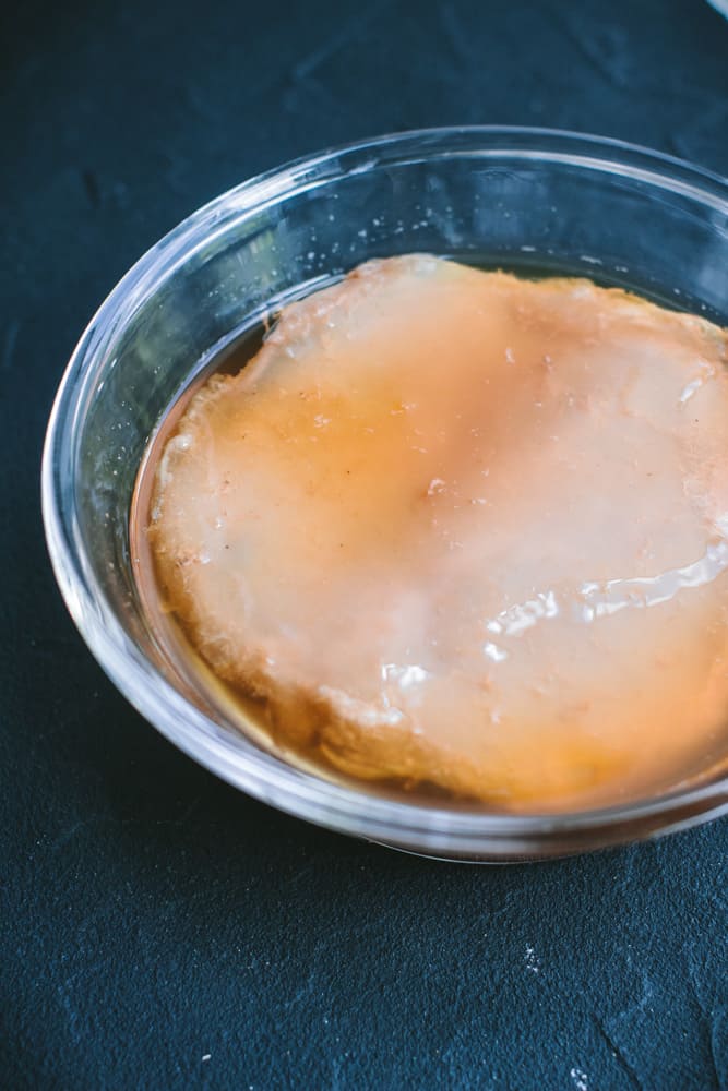 Healthy SCOBY: What Does a Healthy Kombucha SCOBY Look Like? - Bucha Brewers