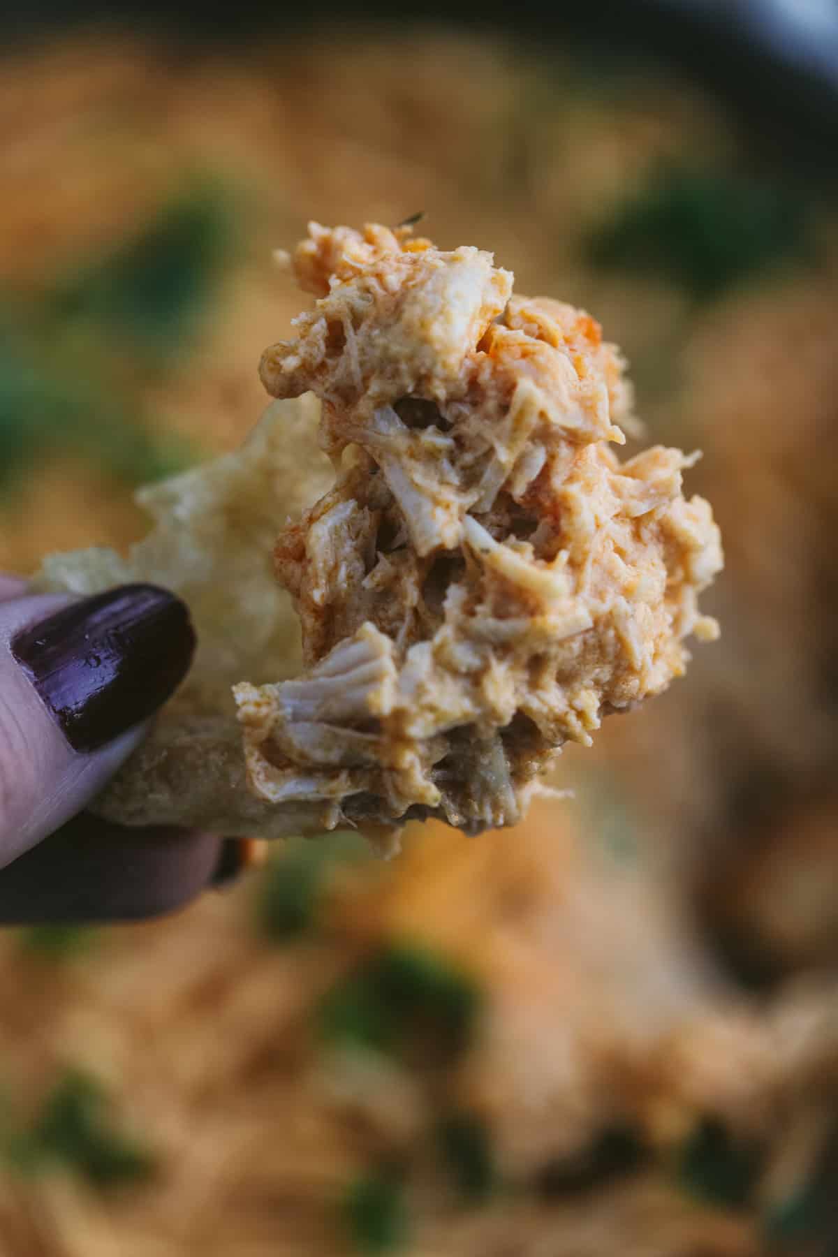 close up of chicken dip