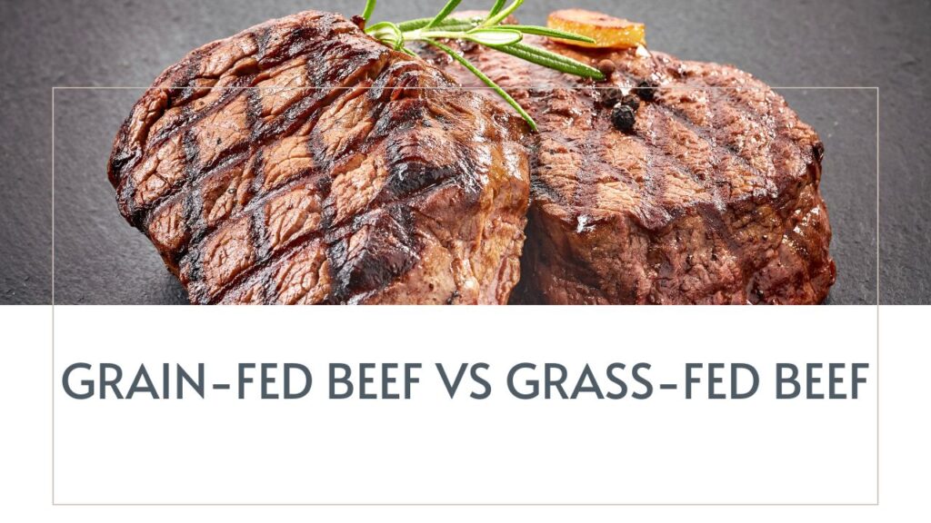 Grain-Fed Beef vs Grass-Fed Beef